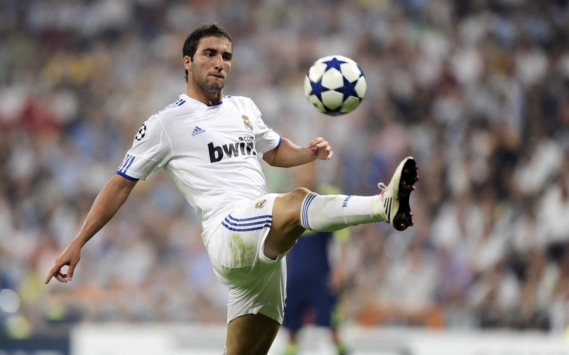 世界杯半决赛激战正酣，冠军之路如火如荼，世界杯半决赛结果