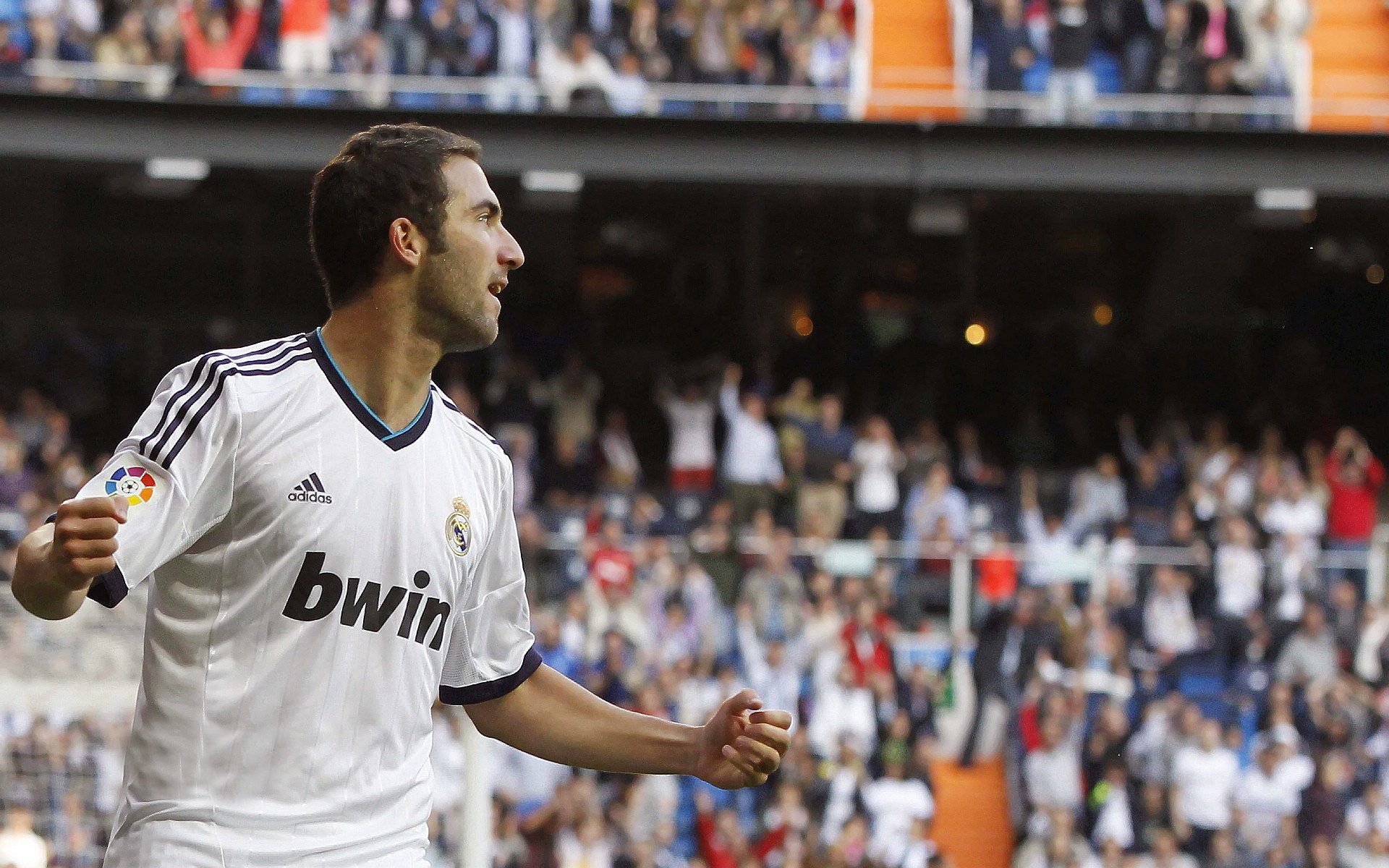 现场实况:现场观众的热情互动瞬间,被现场观众热情打动