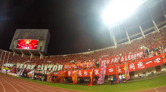 开云中国官网-场馆设施翻新完成比赛场地改造计划推进，场馆设计方案