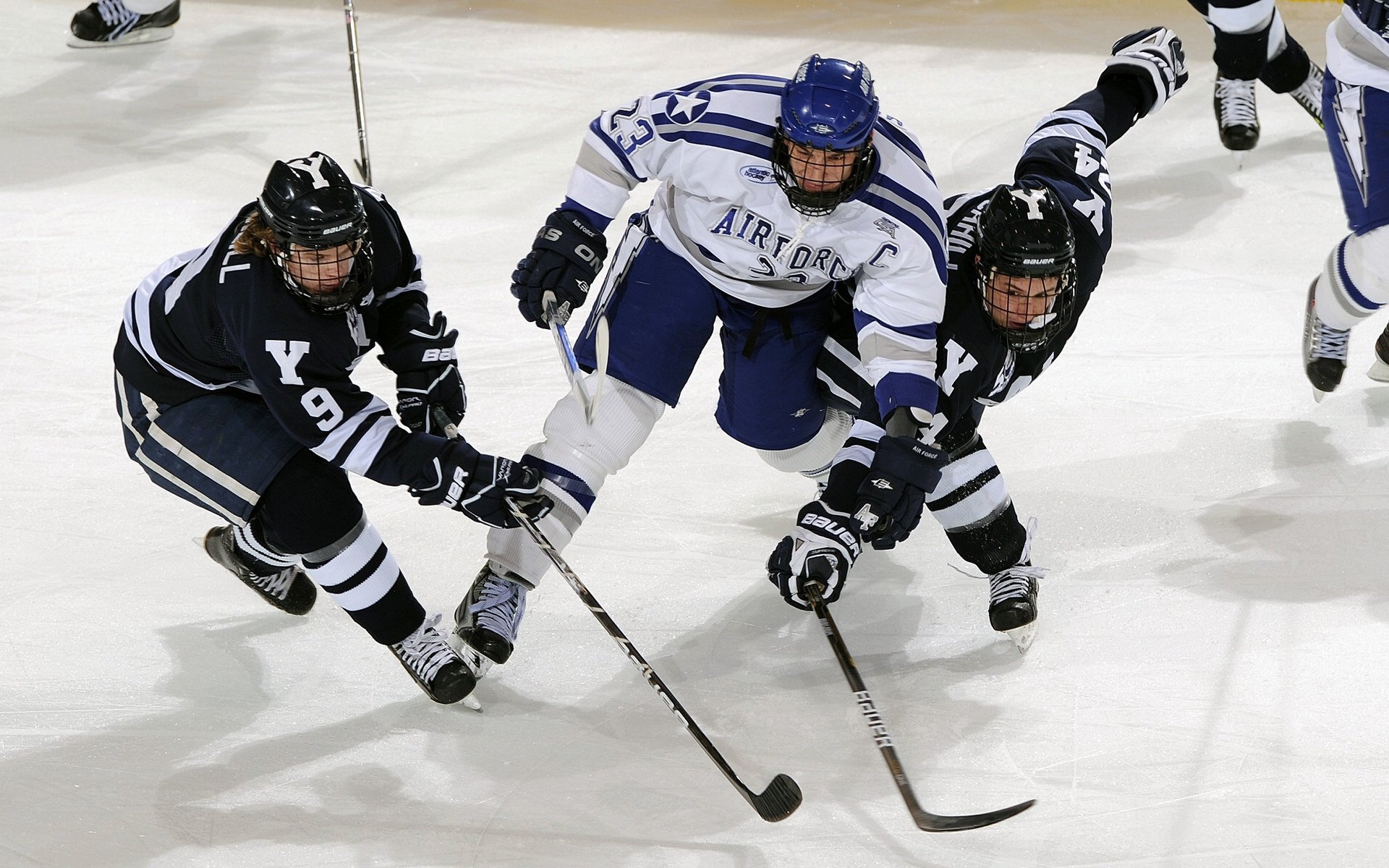 足球运动员个人训练数据公开，推动科学训练普及，足球运动员训练项目